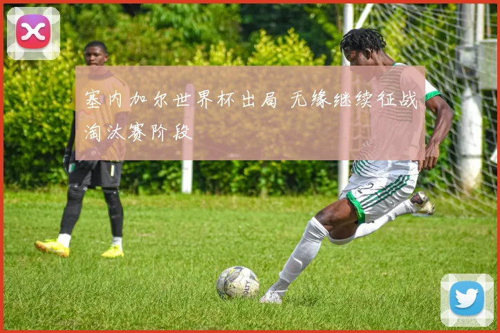 塞内加尔世界杯出局 无缘继续征战淘汰赛阶段